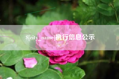 东莞执行信息公示