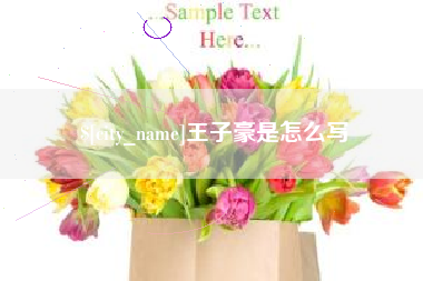 东莞王子豪是怎么写