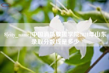 东莞中国消防救援学院2021年山东录取分数线是多少