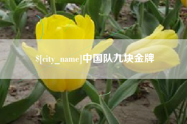 东莞中国队九块金牌
