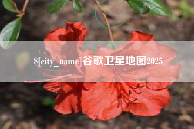 东莞谷歌卫星地图2025