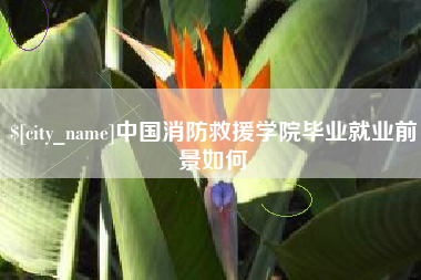 东莞中国消防救援学院毕业就业前景如何