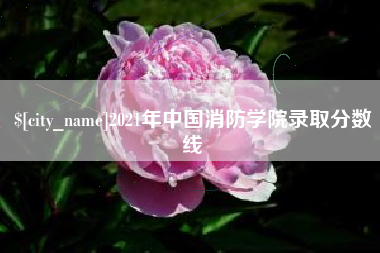 东莞2021年中国消防学院录取分数线