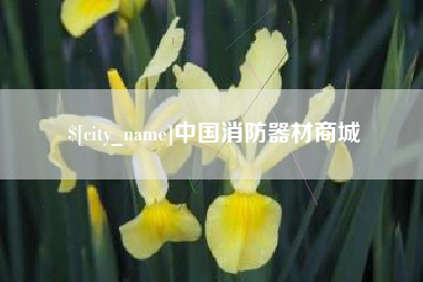 东莞中国消防器材商城