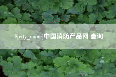 东莞中国消防产品网 查询