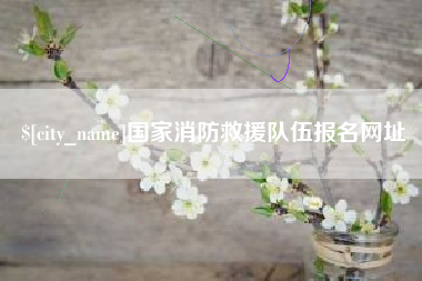 东莞国家消防救援队伍报名网址