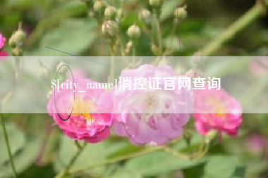 东莞消控证官网查询