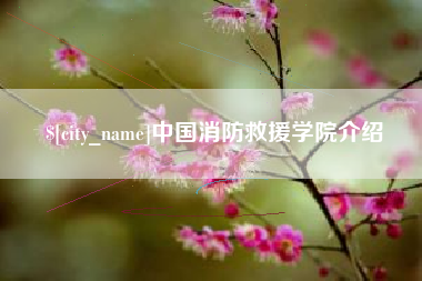 东莞中国消防救援学院介绍