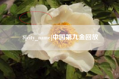 东莞中国第九金回放
