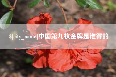 东莞中国第九枚金牌是谁得的