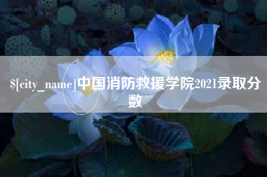 东莞中国消防救援学院2021录取分数