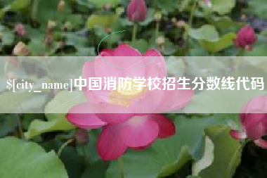 东莞中国消防学校招生分数线代码