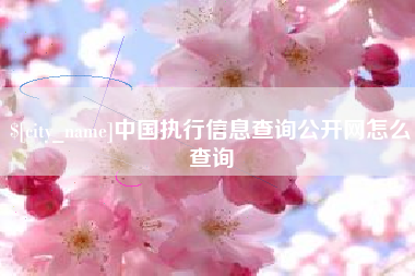 东莞中国执行信息查询公开网怎么查询