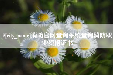 东莞消防官网查询系统查询消防职业资格证书