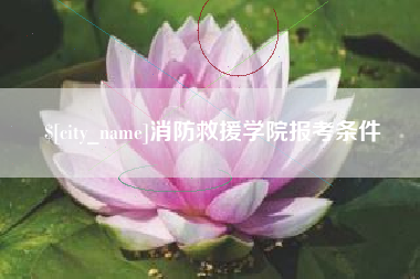 东莞消防救援学院报考条件