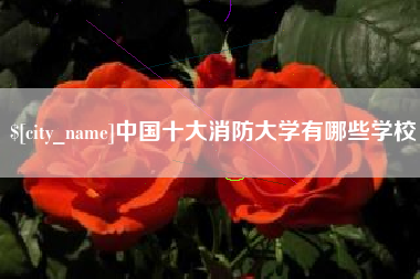 东莞中国十大消防大学有哪些学校
