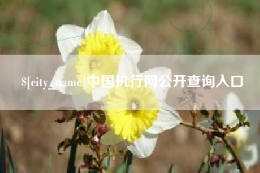 东莞中国执行网公开查询入口