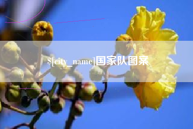 东莞国家队图案