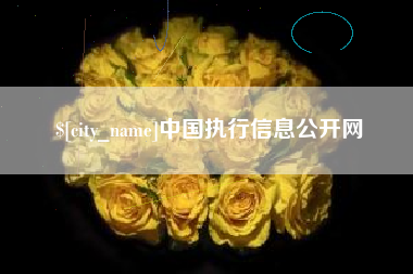 东莞中国执行信息公开网