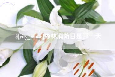 东莞森林消防日是哪一天