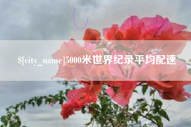 东莞5000米世界纪录平均配速