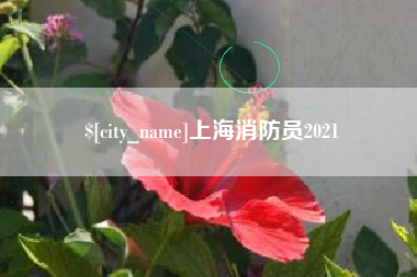 东莞上海消防员2021