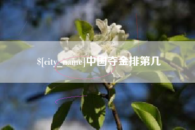 东莞中国夺金排第几