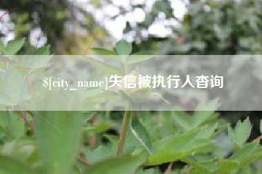 东莞失信被执行人杳询