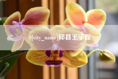 东莞邱县王子磊