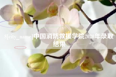 东莞中国消防救援学院2020年录取结果