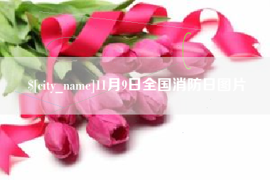 东莞11月9日全国消防日图片