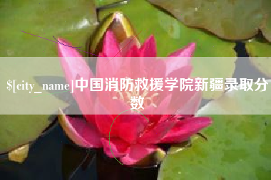 东莞中国消防救援学院新疆录取分数