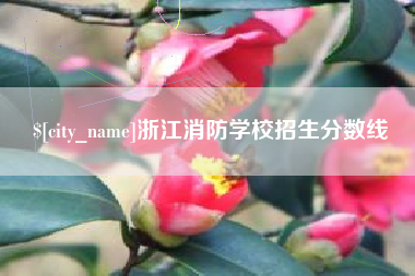 东莞浙江消防学校招生分数线