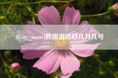 东莞我国消防日几月几号