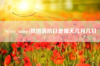 东莞我国消防日是哪天几月几日