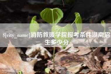 东莞消防救援学院报考条件湖南招生多少分
