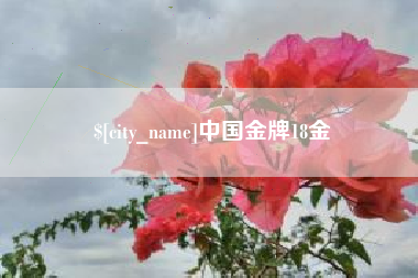 东莞中国金牌18金