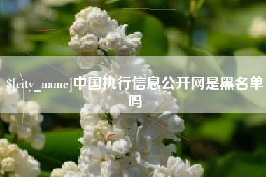 东莞中国执行信息公开网是黑名单吗