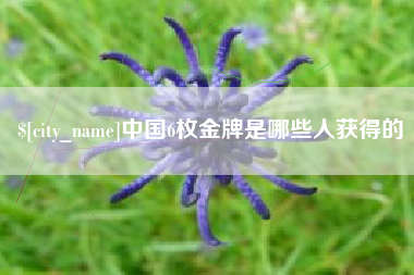 东莞中国6枚金牌是哪些人获得的