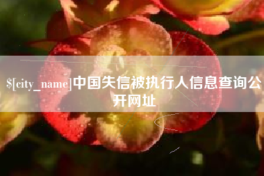 东莞中国失信被执行人信息查询公开网址