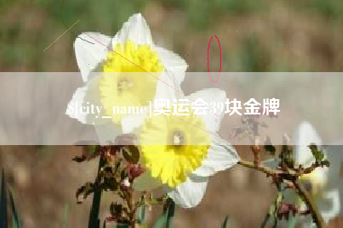 东莞奥运会39块金牌