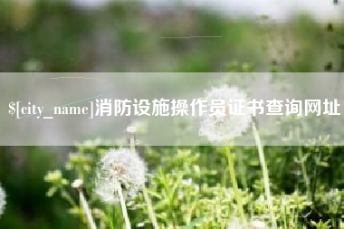 东莞消防设施操作员证书查询网址