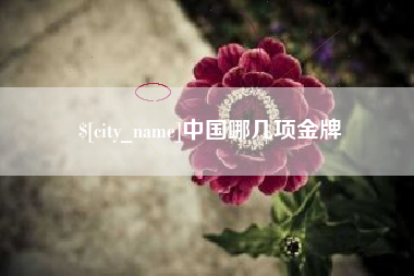 东莞中国哪几项金牌