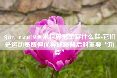 东莞5000米世界冠军穿什么鞋-它们是运动员取得优异成绩背后的重要“功臣”