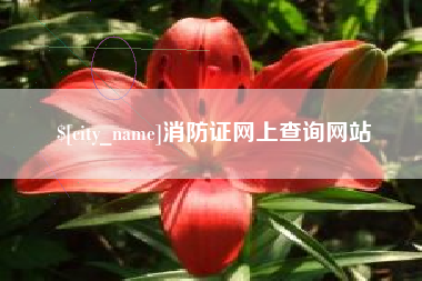 东莞消防证网上查询网站