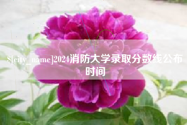 东莞2024消防大学录取分数线公布时间