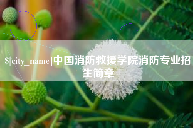东莞中国消防救援学院消防专业招生简章
