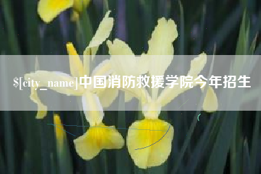 东莞中国消防救援学院今年招生