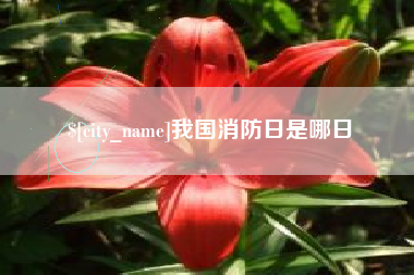 东莞我国消防日是哪日