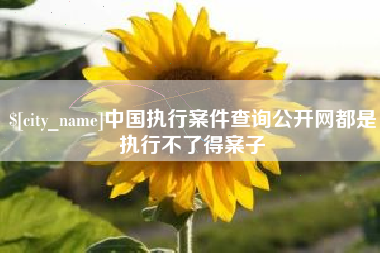 东莞中国执行案件查询公开网都是执行不了得案子